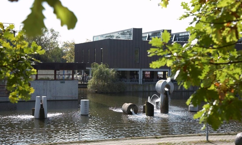 Albertslund Rådhus med rådhussøen og træer i forgrunden.