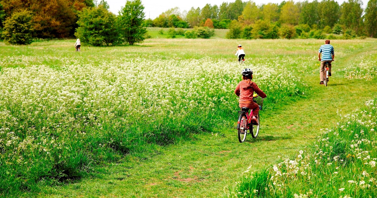 Handicap og Psykiatri, Albertslund Kommune in Albertslund, Region Hovedstaden photo 1